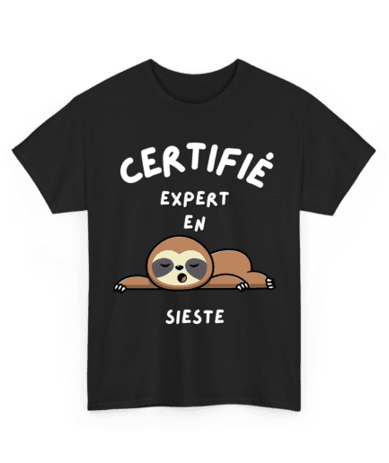 Certifié.e expert.e en sieste